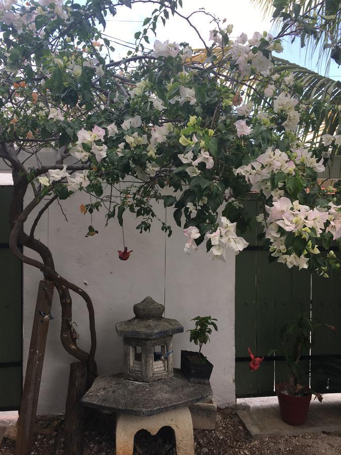Violeta'S House Apartment Cancun Exterior photo